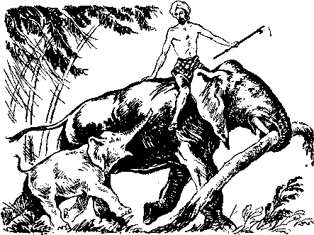 Image008